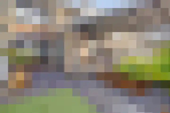 Watersnipstraat 86 Wijchen thumbnail 34