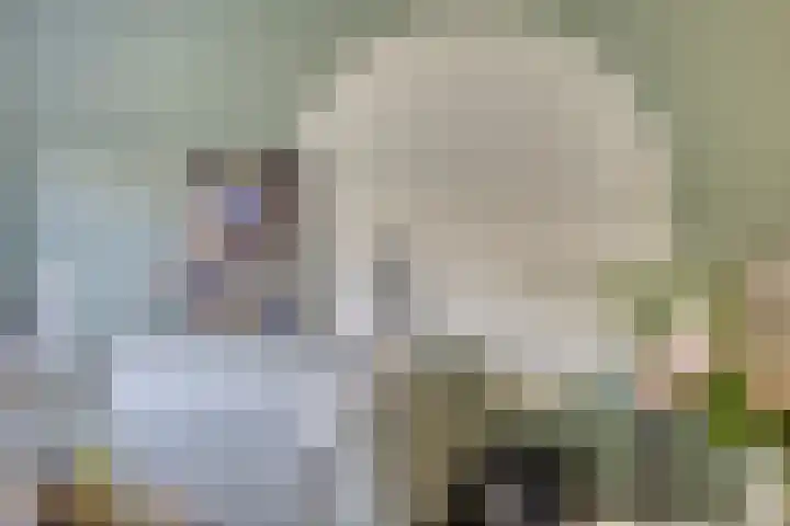 Waterspiegel 34 Wierden thumbnail 10
