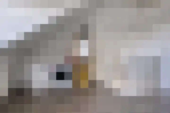 Waterspiegel 34 Wierden thumbnail 24