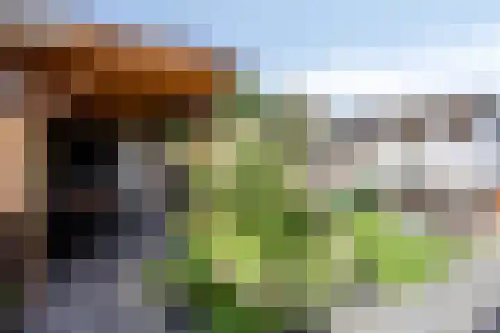 Waterspiegel 34 Wierden thumbnail 28