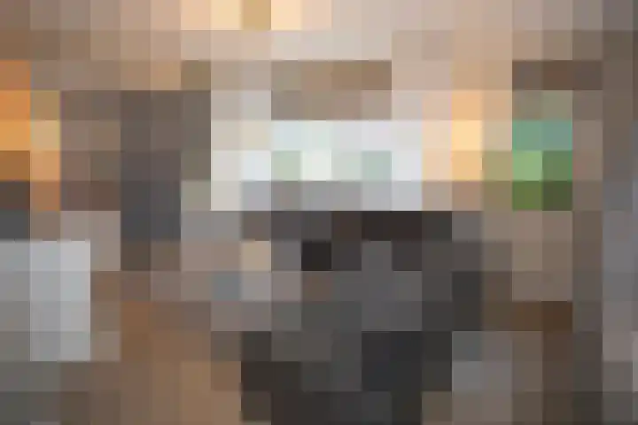 Waterspiegel 38 Wierden thumbnail 11