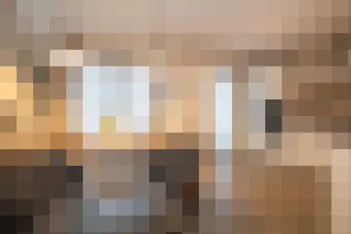 Waterspiegel 38 Wierden thumbnail 26