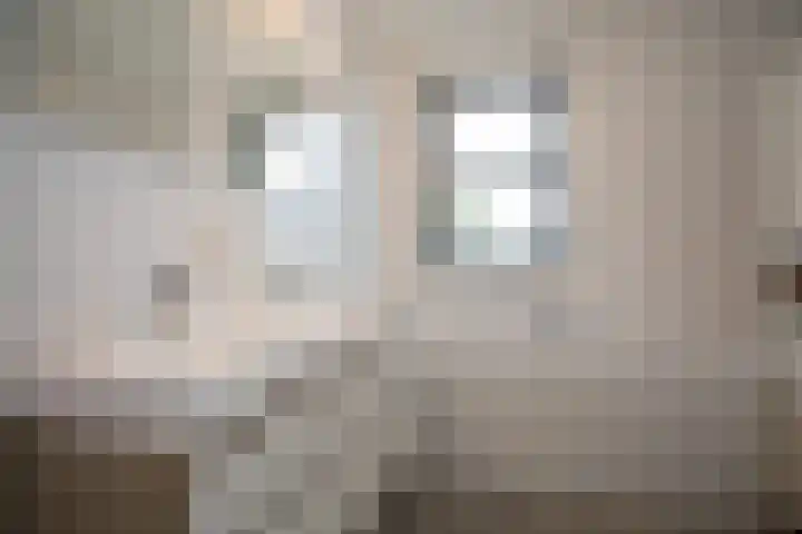 Waterspiegel 38 Wierden thumbnail 48