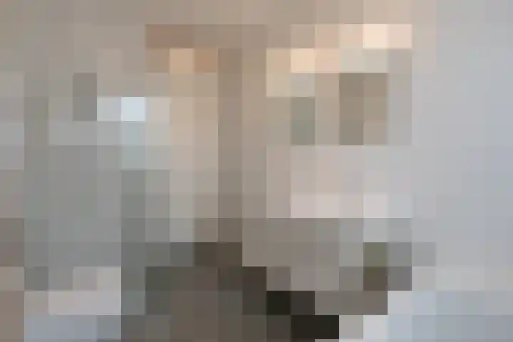 Waterspiegel 38 Wierden thumbnail 50