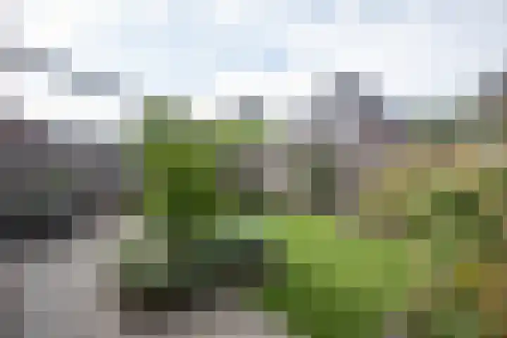 Waterspiegel 38 Wierden thumbnail 58
