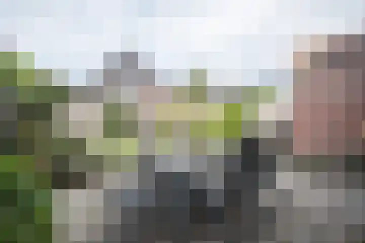 Waterspiegel 38 Wierden thumbnail 60