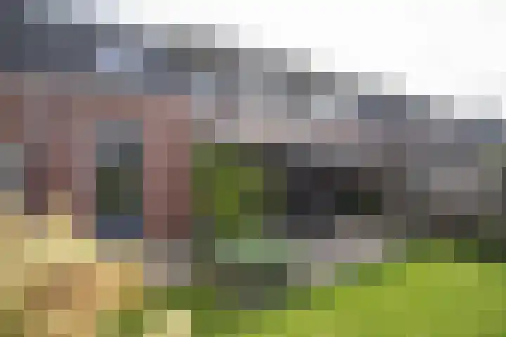Waterspiegel 38 Wierden thumbnail 69
