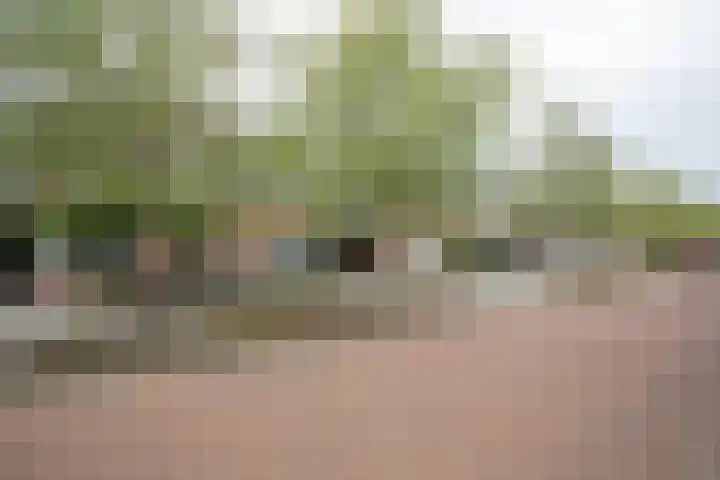 Waterspiegel 38 Wierden thumbnail 73