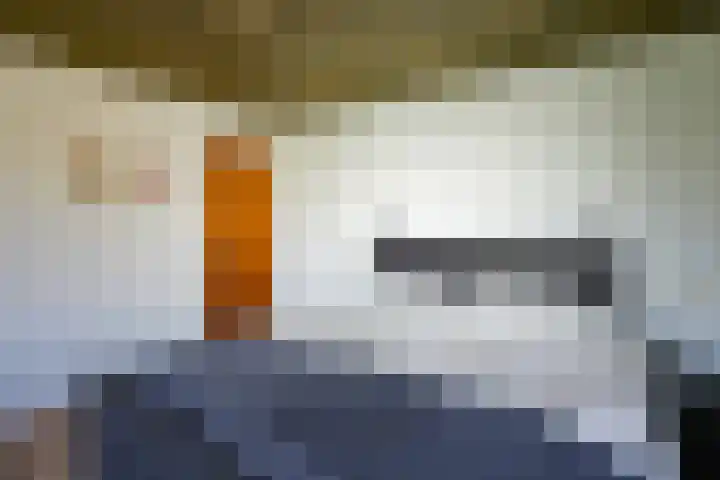 Waterstraat 14 Beek thumbnail 13