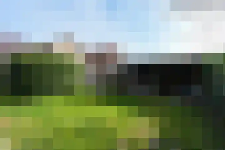 Waterstraat 14 Beek thumbnail 24