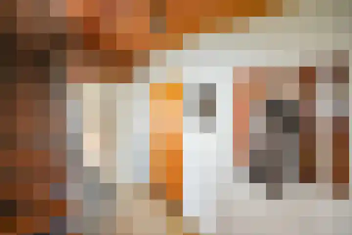Waterstraat 14 Beek thumbnail 4