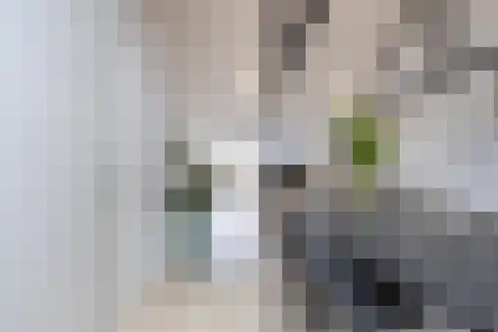 Waterstraat 17 b Tiel thumbnail 20
