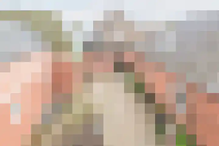 Waterstraat 3 Ulft thumbnail 7