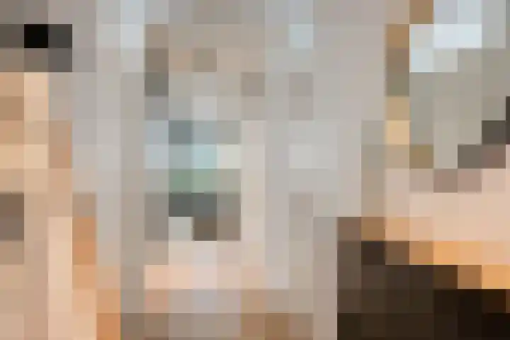 Waterviolier 14 Breda thumbnail 12