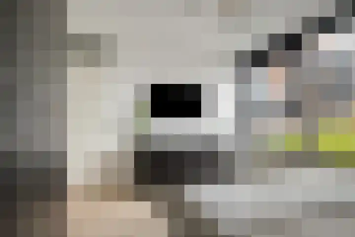 Waterviolier 14 Breda thumbnail 16