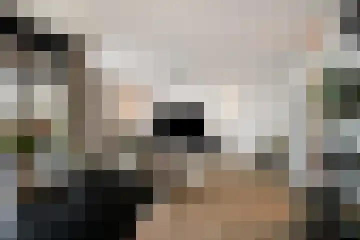 Waterviolier 14 Breda thumbnail 24