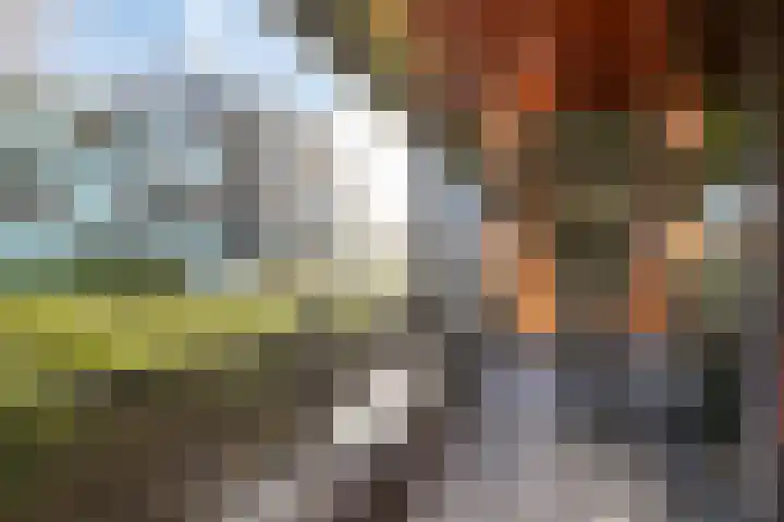 Waterviolier 14 Breda thumbnail 36