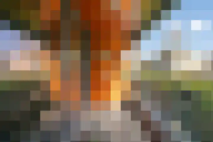 Waterviolier 14 Breda thumbnail 37