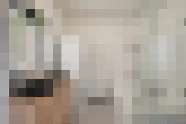 Waterviolier 14 Breda thumbnail 4