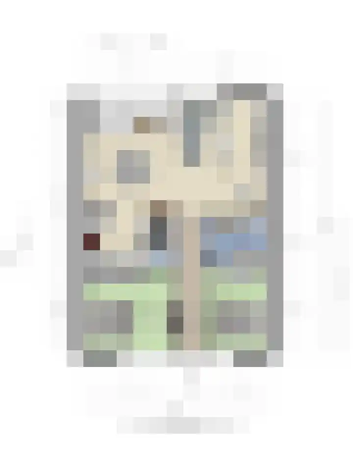 Waterviolier 14 Breda thumbnail 43