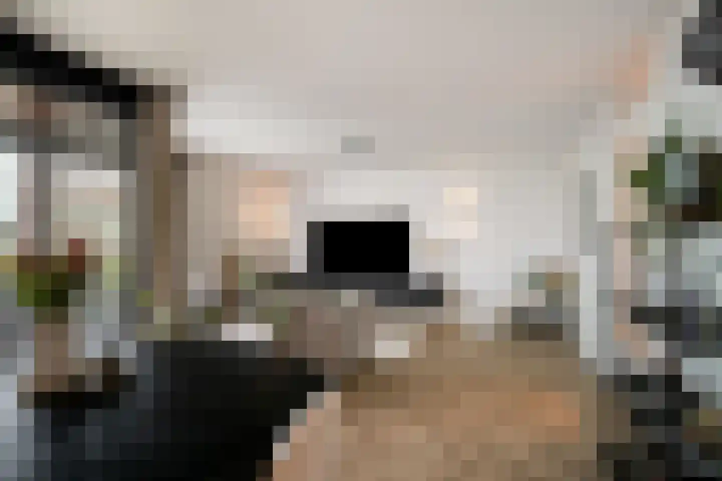 Waterviolier 14 Breda thumbnail 49