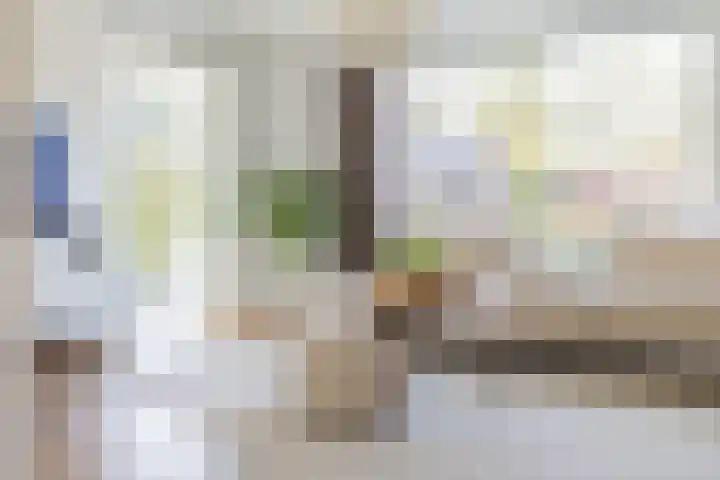 Waterviolier 216 Breda thumbnail 11