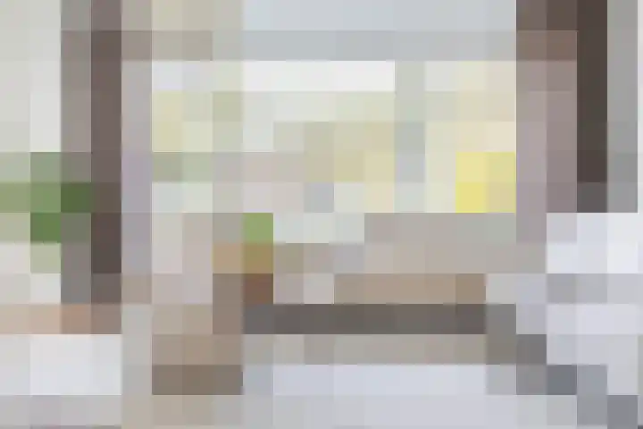 Waterviolier 216 Breda thumbnail 12