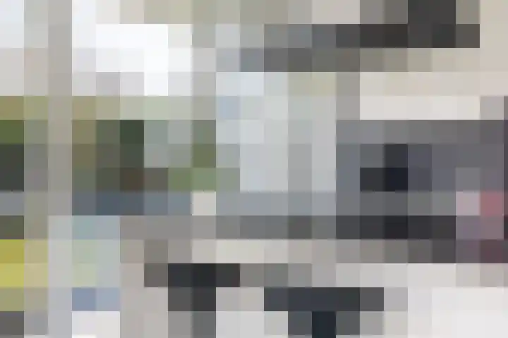 Waterviolier 216 Breda thumbnail 23