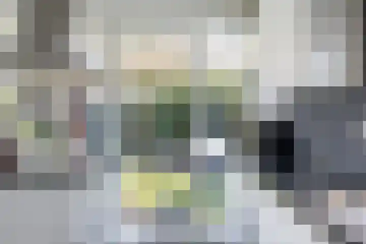 Waterviolier 216 Breda thumbnail 25