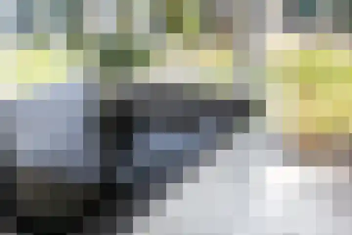 Waterviolier 216 Breda thumbnail 26