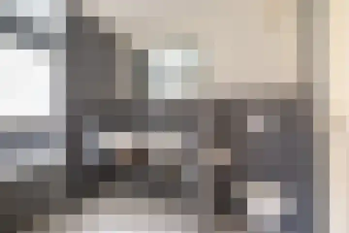 Waterviolier 216 Breda thumbnail 30
