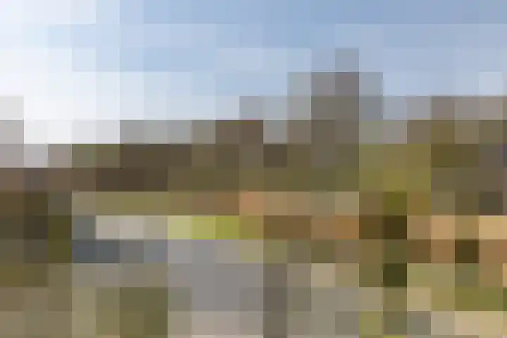 Waterviolier 216 Breda thumbnail 45