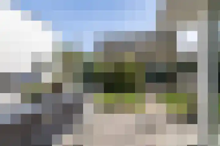 Waterviolier 216 Breda thumbnail 47