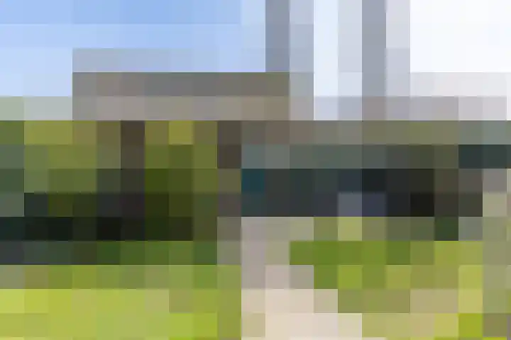 Waterviolier 216 Breda thumbnail 48