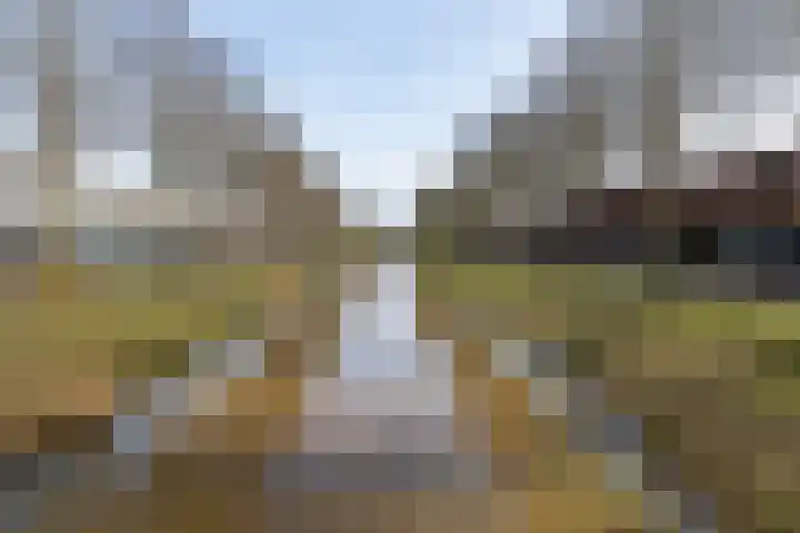 Waterviolier 216 Breda thumbnail 53