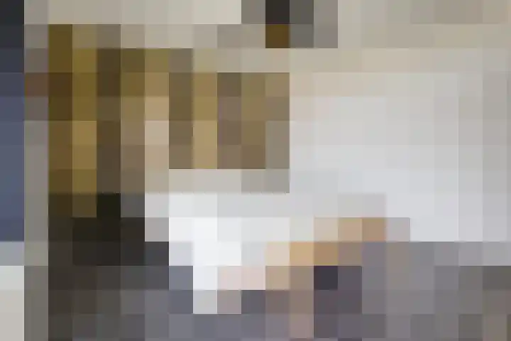 Waterviolier 30 Breda thumbnail 11