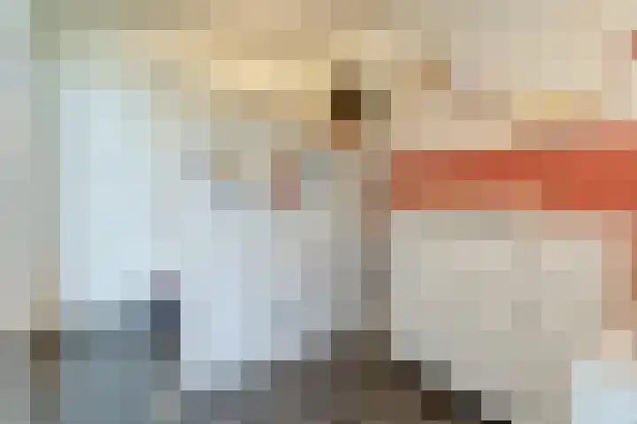 Waterviolier 30 Breda thumbnail 14