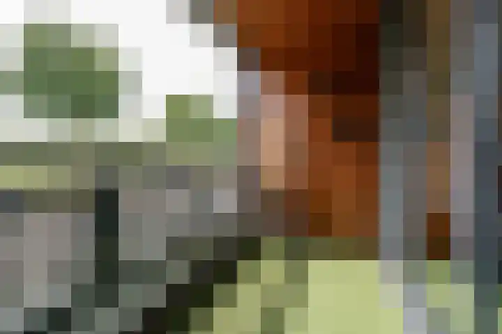 Waterviolier 30 Breda thumbnail 20