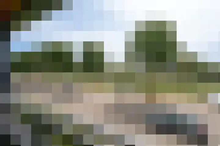 Waterviolier 30 Breda thumbnail 21