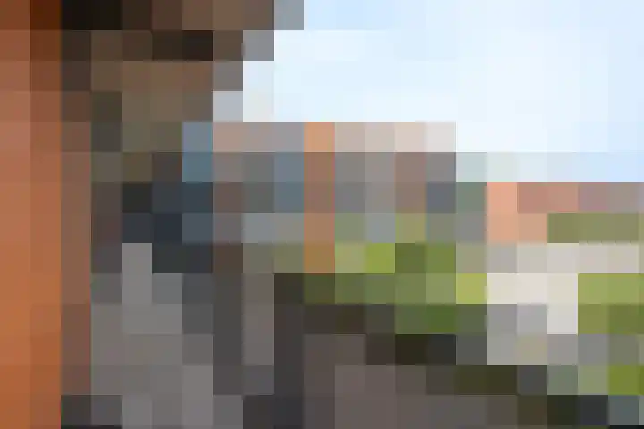 Waterviolier 30 Breda thumbnail 23