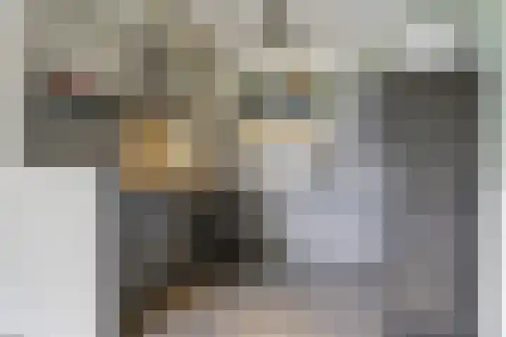 Waterviolier 30 Breda thumbnail 6
