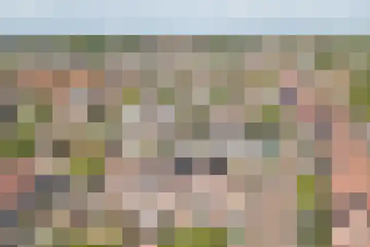 Watervliet 36 Krabbendijke thumbnail 30