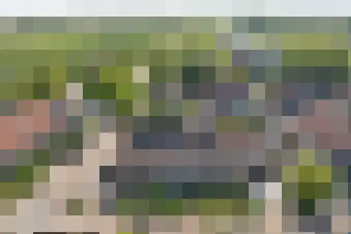 Watervliet 36 Krabbendijke thumbnail 33