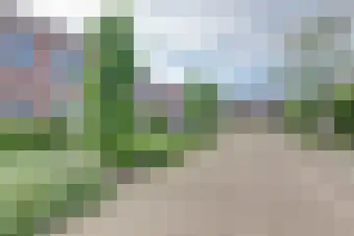 Watervliet 36 Krabbendijke thumbnail 4