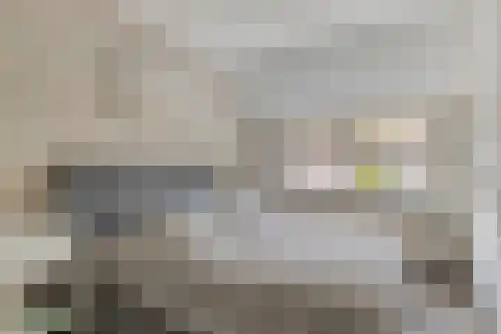Watervliet 43 Krabbendijke thumbnail 16