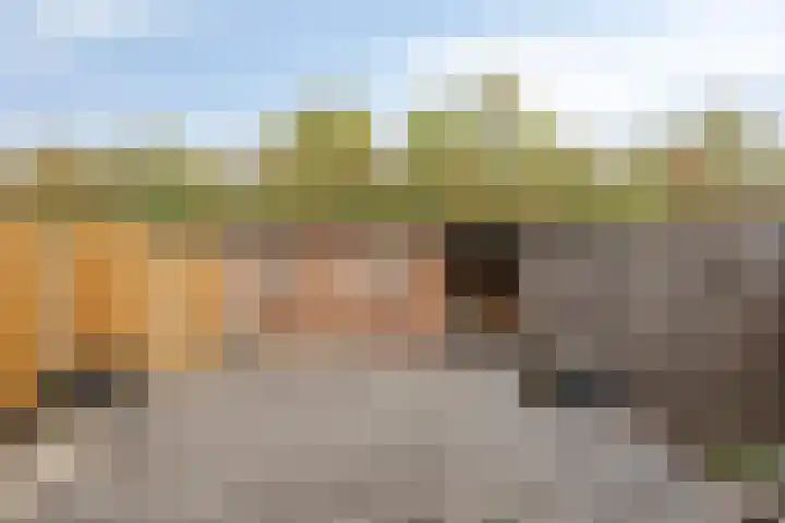 Watervliet 43 Krabbendijke thumbnail 27