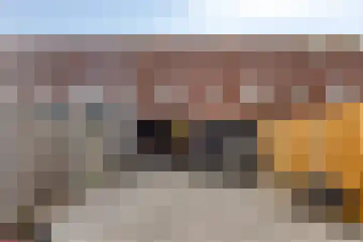 Watervliet 43 Krabbendijke thumbnail 28