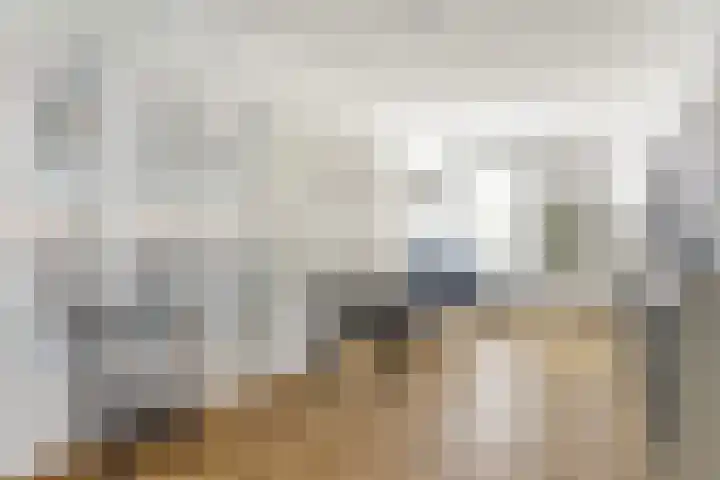 Watervliet 7 Krabbendijke thumbnail 10