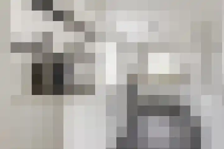 Watervliet 7 Krabbendijke thumbnail 12