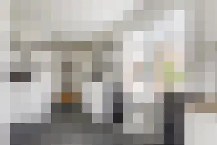Watervliet 7 Krabbendijke thumbnail 14